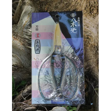 image supplémentaire - CISEAU JAPONAIS