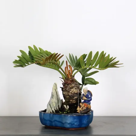 ZAMIA WITH FIGURINE 1-15