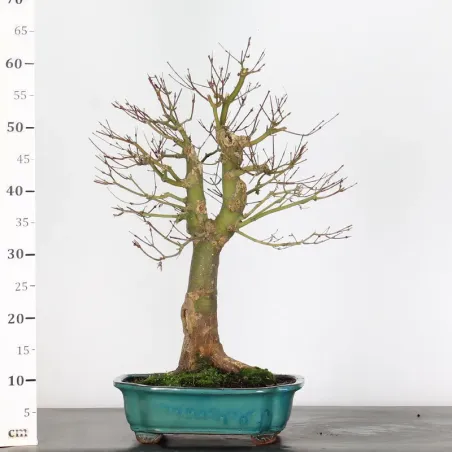 image supplémentaire - ACER SEIRYU 1-4