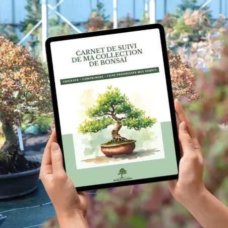 Bonsai Collection Logbook – Downloadable Ebook (French)