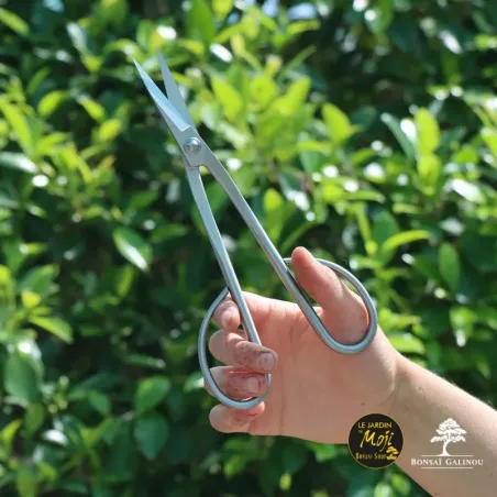 image supplémentaire - CISEAUX LONGS PREMIUM INOX...