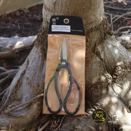image supplémentaire - PREMIUM STEEL PALM SCISSORS...