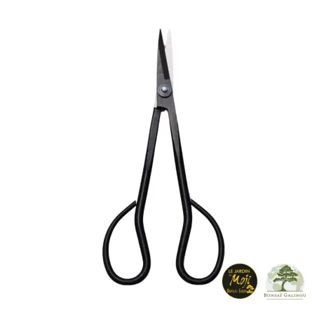 CISEAUX AZALEES PREMIUM ACIER 18 cm 1-4