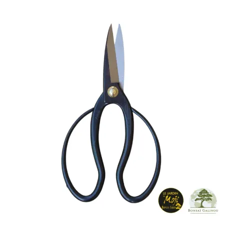 CISEAUX DE PAUME JAPON ACIER KIKUWA 20 cm 1-8