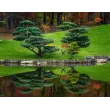 Garden Trees "Niwaki"