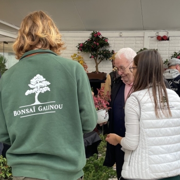 How to choose a bonsai? Pre-purchase advice