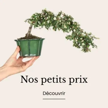 Nos petits prix 